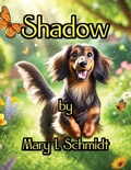 Cover: Shadow - M. Schmidt Productions