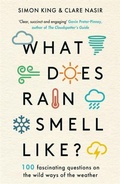 Cover: What Does Rain Smell Like? - BLINK Publishing