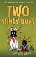 Cover: Two Stinky Boys - Twenty Hills Publishing