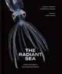 Cover: The Radiant Sea - ABRAMS Books