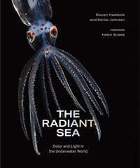 Abbildung von: The Radiant Sea - ABRAMS Books