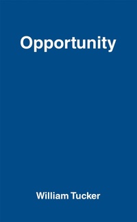Enlarge image Cover: Opportunity - Archway Publishing