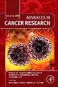Cover: Primary Brain Tumors in Adults: Advances in Mechanistic Understanding, Evaluation, and Management: Volume 166 - Academic Press