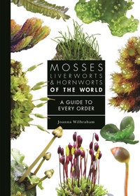 Abbildung von: Mosses, Liverworts, and Hornworts of the World - University of Pittsburgh Press