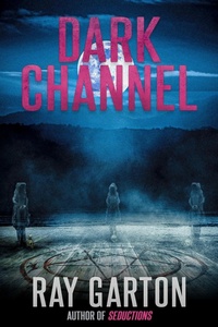 Enlarge image Cover: Dark Channel - DavidNiallWilson