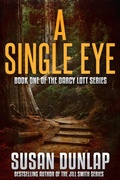 Cover: A Single Eye - DavidNiallWilson