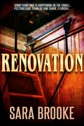 Cover: Renovation - DavidNiallWilson