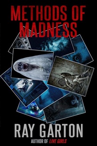Enlarge image Cover: Methods of Madness - DavidNiallWilson