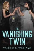 Cover: The Vanishing Twin - DavidNiallWilson