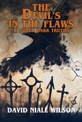 Cover: The Devil's in the Flaws & Other Dark Truths - DavidNiallWilson