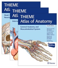 Abbildung von: THIEME Atlas of Anatomy, Three Volume Set, Fourth Edition - Thieme Publishers