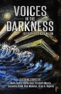 Cover: Voices in the Darkness - DavidNiallWilson