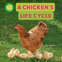 Enlarge image Cover: A Chicken's Life Cycle - Norwood House Press