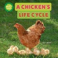 Cover: A Chicken's Life Cycle - Norwood House Press