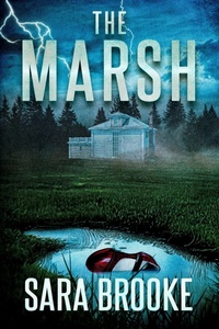 Enlarge image Cover: The Marsh - DavidNiallWilson