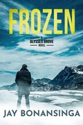Cover: Frozen - DavidNiallWilson
