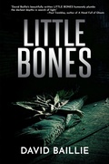 Cover: Little Bones - DavidNiallWilson