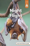 Cover: Night Flight - Picture Window Books