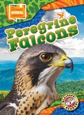 Cover: Peregrine Falcons - Blastoff! Readers