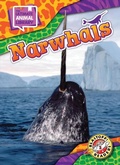 Cover: Narwhals - Blastoff! Readers