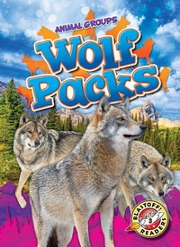 Enlarge image Cover: Wolf Packs - Blastoff! Readers