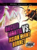 Cover: Orchid Mantis vs. Asian Giant Hornet - Torque