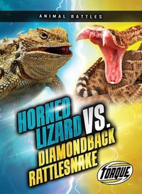 Enlarge image Cover: Horned Lizard vs. Diamondback Rattlesnake - Torque