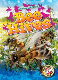 Enlarge image Cover: Bee Hives - Blastoff! Readers