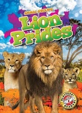 Cover: Lion Prides - Blastoff! Readers