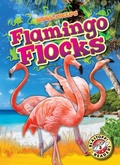 Cover: Flamingo Flocks - Blastoff! Readers