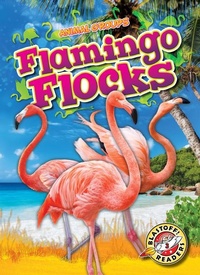 Enlarge image Cover: Flamingo Flocks - Blastoff! Readers