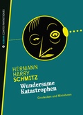 Cover: Wundersame Katastrophen - Edition Hibana