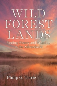 Enlarge image Cover: Wild Forest Lands - Syracuse University Press