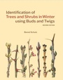 Cover: Identification of Trees and Shrubs in Winter using Buds and Twigs - Kew Publishing
