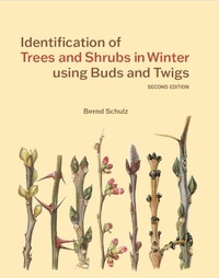 Enlarge image Cover: Identification of Trees and Shrubs in Winter using Buds and Twigs - Kew Publishing