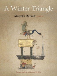 Enlarge image Cover: A Winter Triangle - Fordham University Press