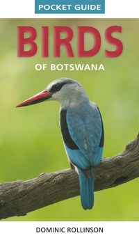 Abbildung von: Pocket Guide Birds of Botswana - Struik Nature