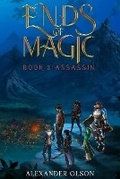 Cover: Assassin - Timeless Wind Publishing