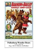 Cover: Pallenberg Wonder Bears - From the Beginning - BEARMANOR MEDIA