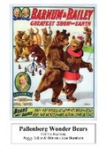 Cover: Pallenberg Wonder Bears - From the Beginning - BEARMANOR MEDIA