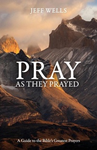 Enlarge image Cover: Pray as They Prayed - Lucid Books