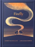 Cover: Night Creatures: Firefly - MAGIC CAT