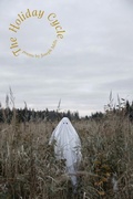 Cover: The Holiday Cycle - Press 53