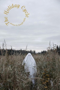 Enlarge image Cover: The Holiday Cycle - Press 53