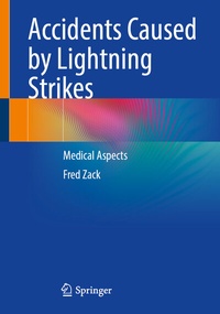 Abbildung von: Accidents Caused by Lightning Strikes - Springer