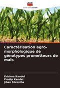 Cover: Caracterisation agro-morphologique de genotypes prometteurs de mais - Editions Notre Savoir