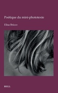 Cover: Poetique du mini-phototexte - Brill