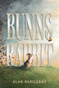 Enlarge image Cover: Bunns Rabbit - Walker Books Ltd