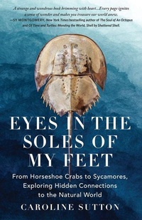 Enlarge image Cover: Eyes in the Soles of My Feet - Schaffner Press