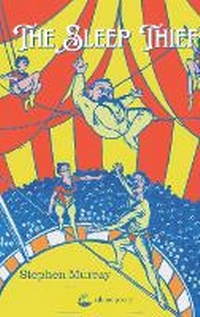 Enlarge image Cover: The Sleep Thief - Salmon Poetry